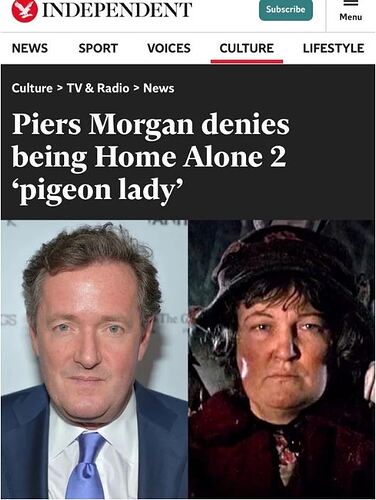 piers_morgan_pigeon