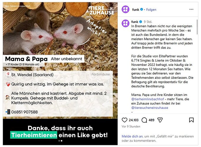 Zwischenablage02
